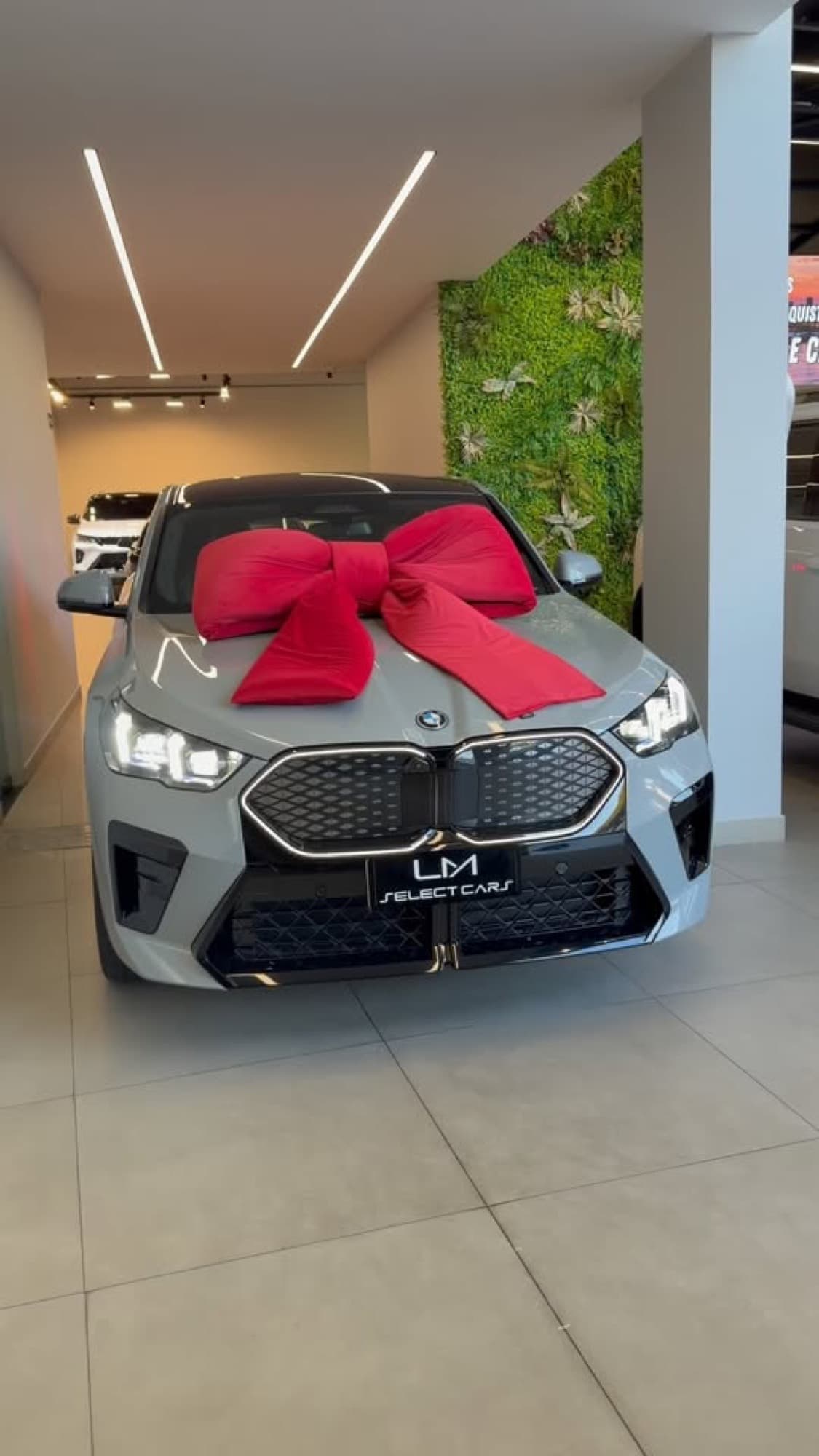 BMW X2 cinza com laço vermelho no showroom